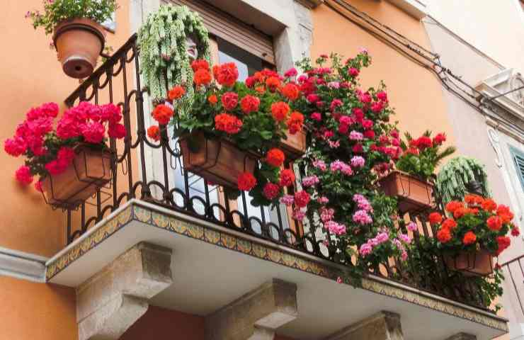 balcone fiorito