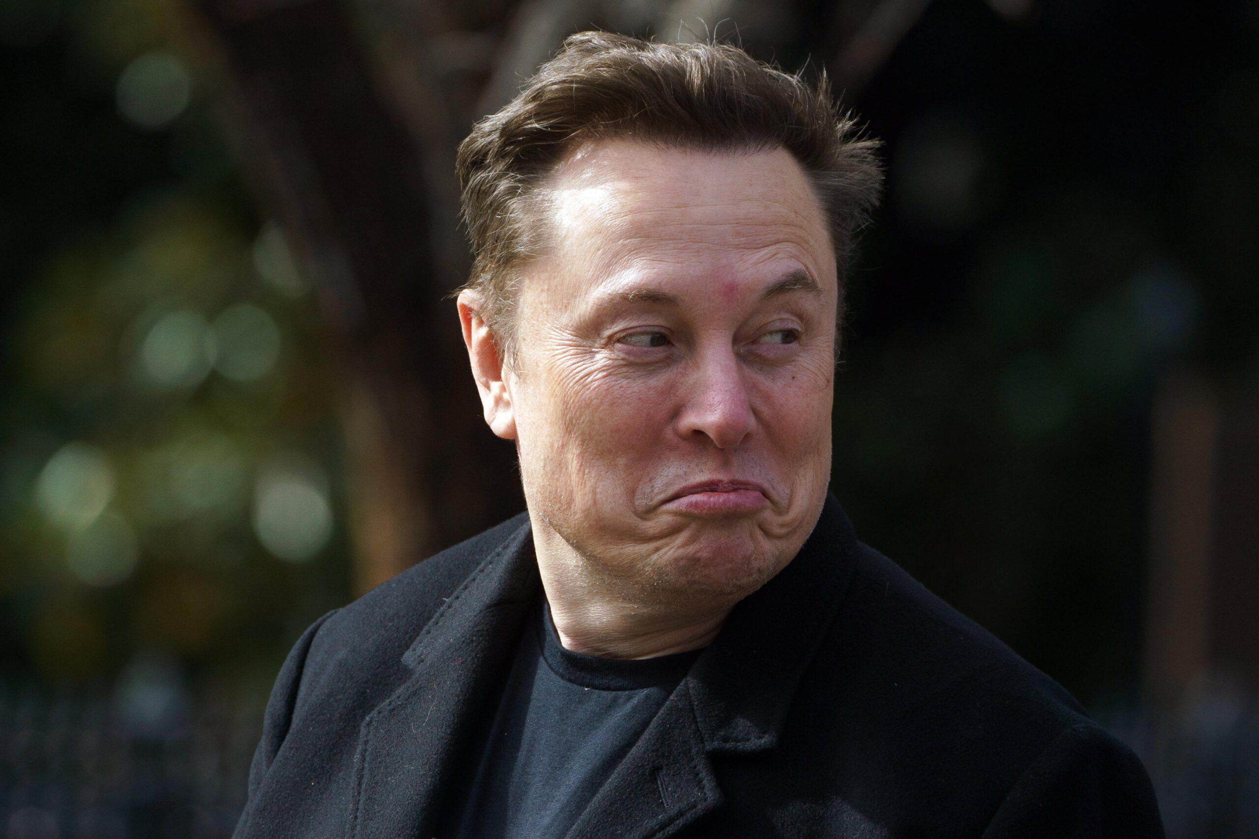 eleon musk