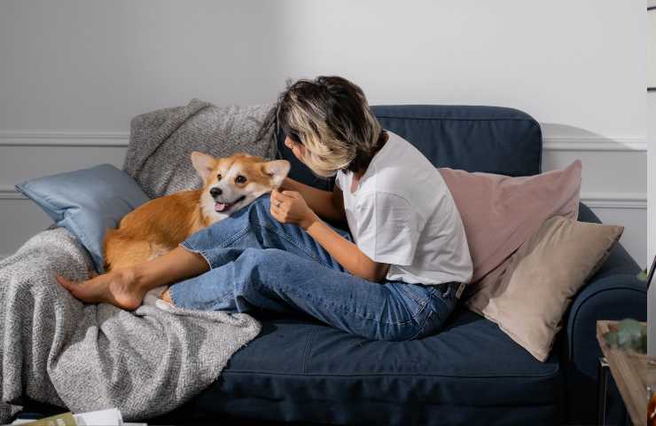 ragazza e cane sul divano