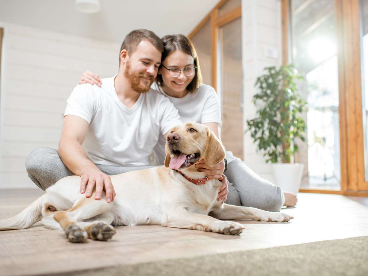 coppia in casa con il cane